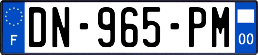 DN-965-PM