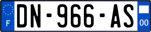DN-966-AS
