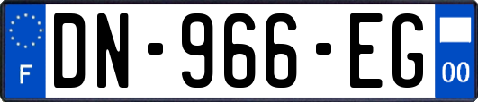 DN-966-EG