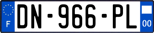 DN-966-PL