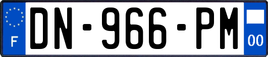 DN-966-PM