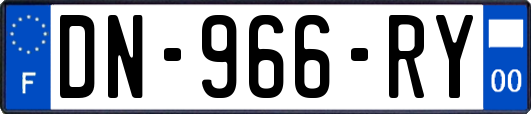 DN-966-RY