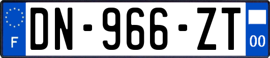 DN-966-ZT