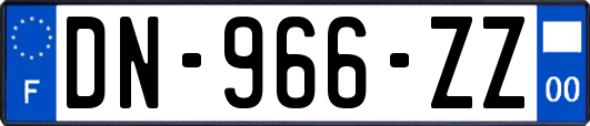 DN-966-ZZ