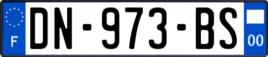 DN-973-BS