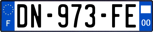 DN-973-FE