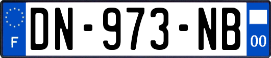 DN-973-NB