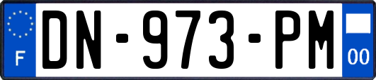 DN-973-PM