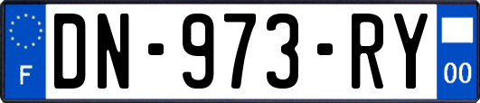 DN-973-RY