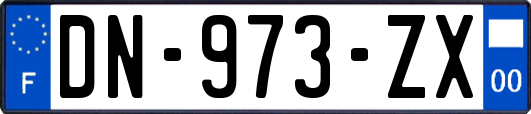 DN-973-ZX