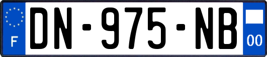 DN-975-NB