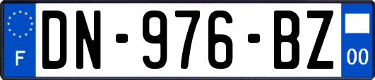 DN-976-BZ