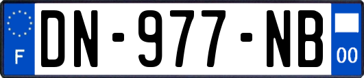 DN-977-NB