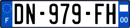 DN-979-FH