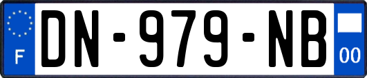 DN-979-NB