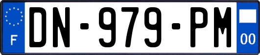 DN-979-PM