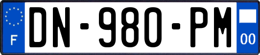 DN-980-PM