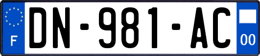 DN-981-AC