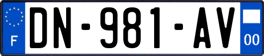 DN-981-AV