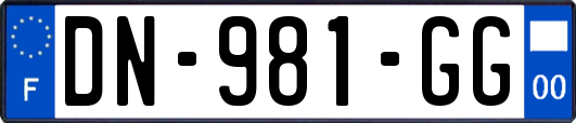 DN-981-GG