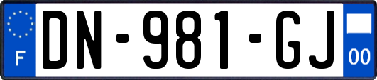 DN-981-GJ