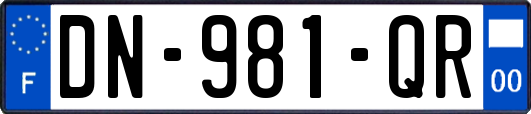DN-981-QR