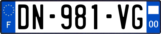 DN-981-VG