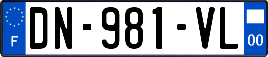 DN-981-VL