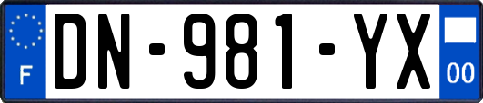 DN-981-YX