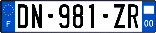 DN-981-ZR