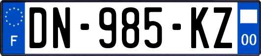 DN-985-KZ