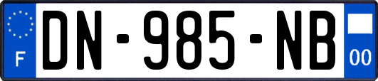 DN-985-NB