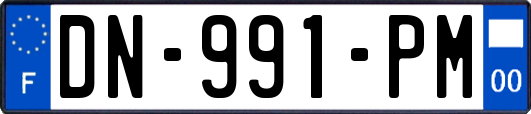 DN-991-PM