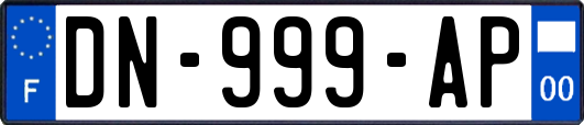 DN-999-AP