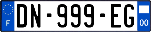 DN-999-EG