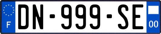 DN-999-SE