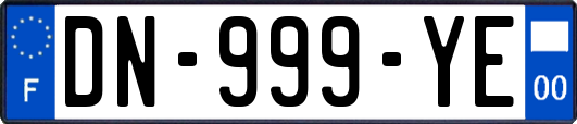 DN-999-YE