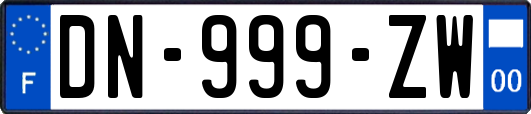 DN-999-ZW