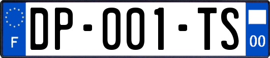 DP-001-TS