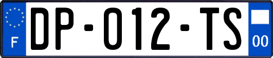 DP-012-TS