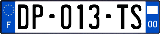 DP-013-TS