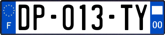 DP-013-TY