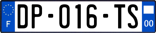 DP-016-TS