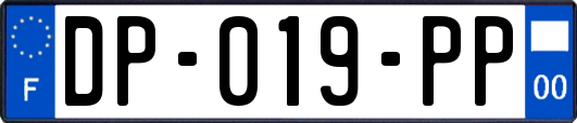 DP-019-PP