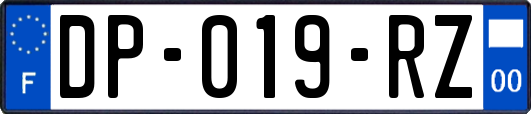 DP-019-RZ