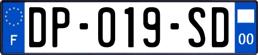 DP-019-SD