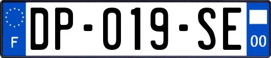 DP-019-SE