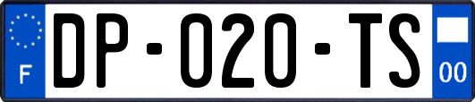 DP-020-TS