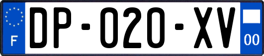 DP-020-XV