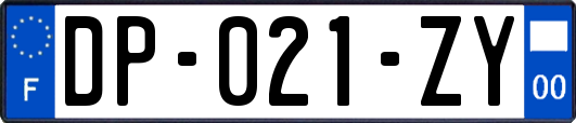 DP-021-ZY